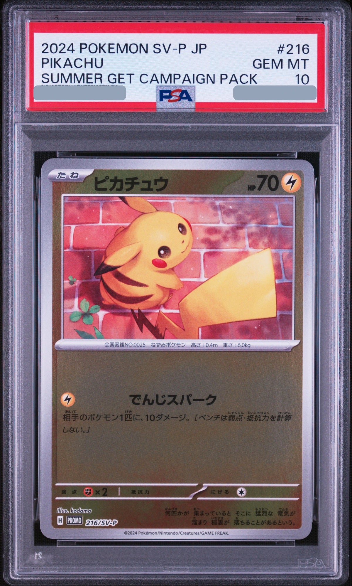 2024 Pikachu P [SV-P 216] JP PSA 10
