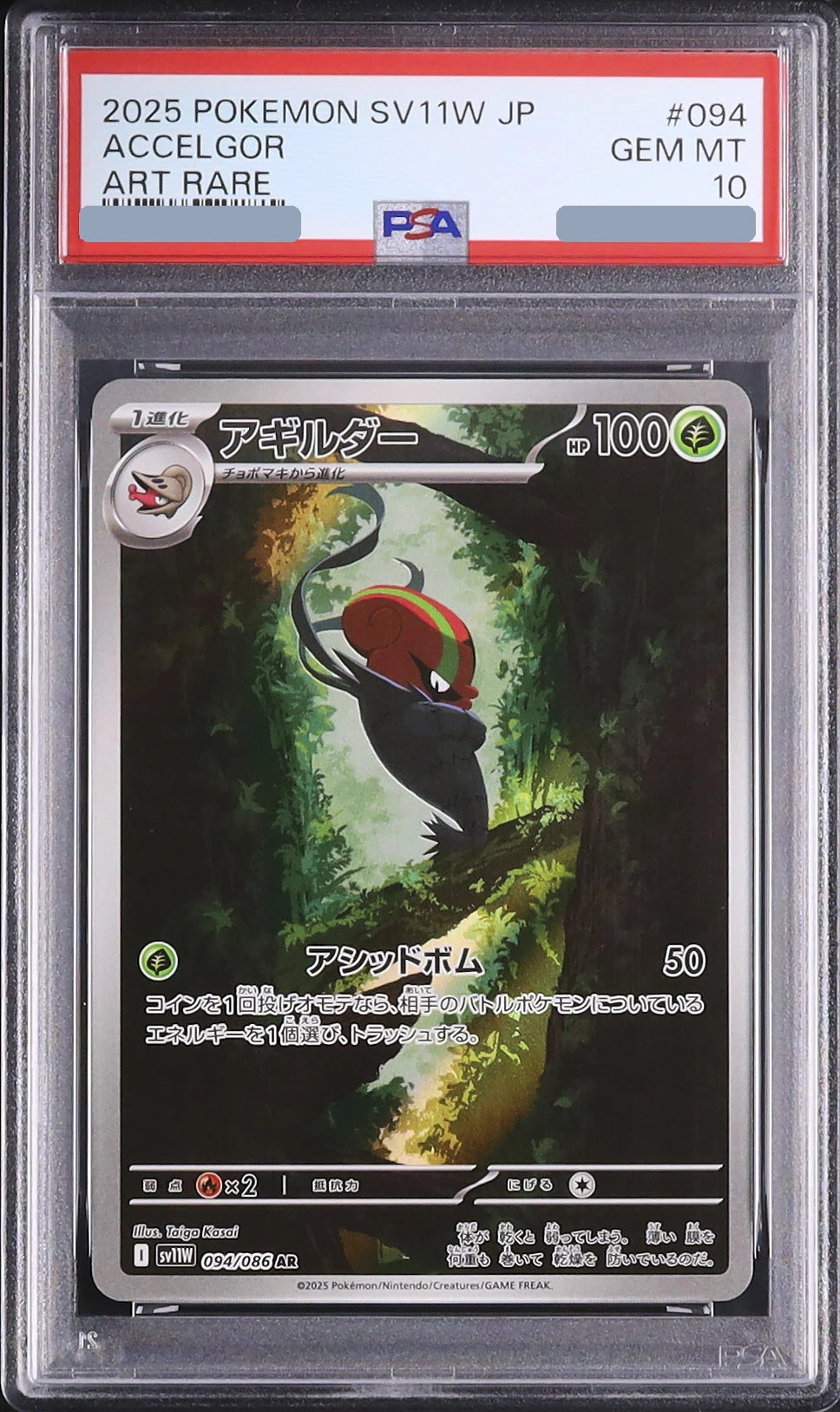 2025 Accelgor AR [SV11W 094/086] JP PSA 10